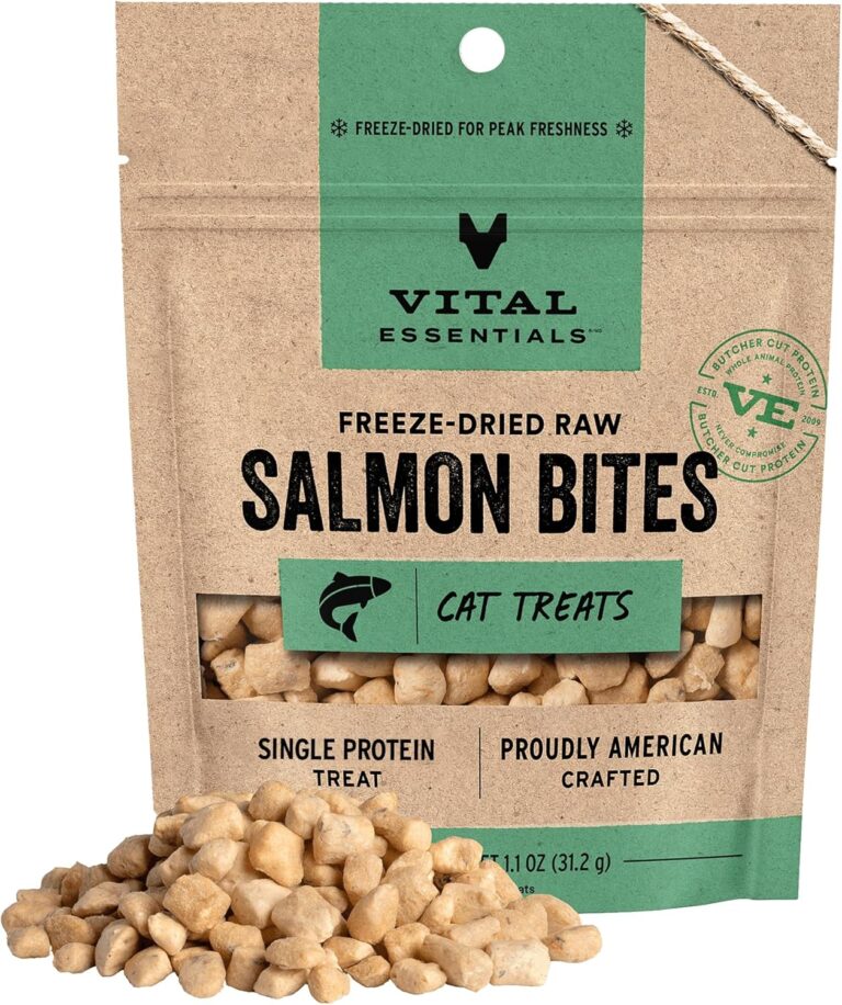 Vital Essentials freeze dried salmon cat treats grain free