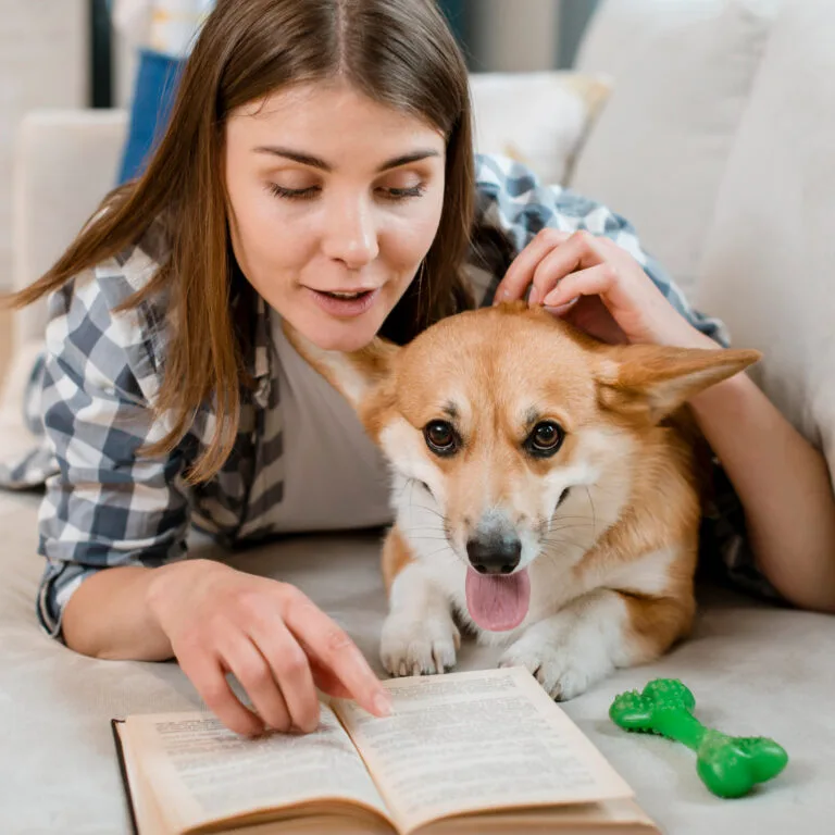 Ultimate Puppy Checklist for New Owners