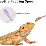 can you reuse crested gecko food cups