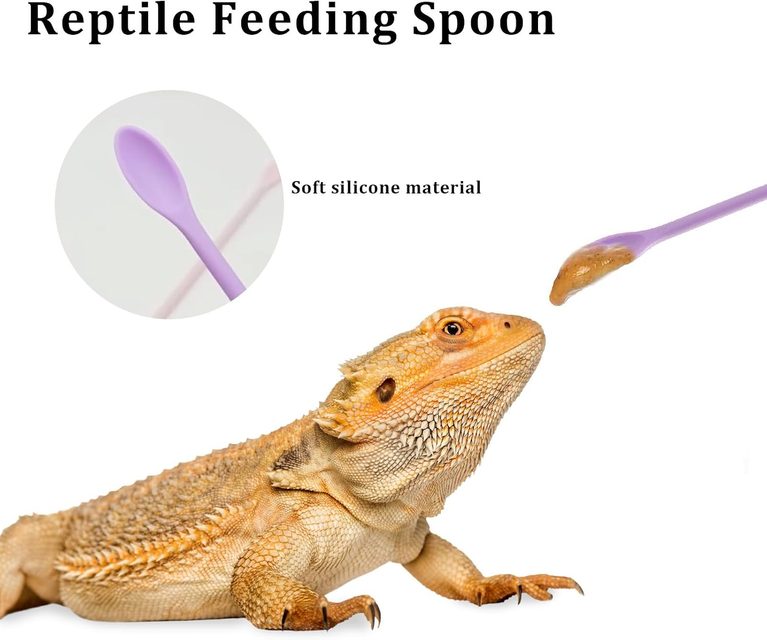 can you reuse crested gecko food cups
